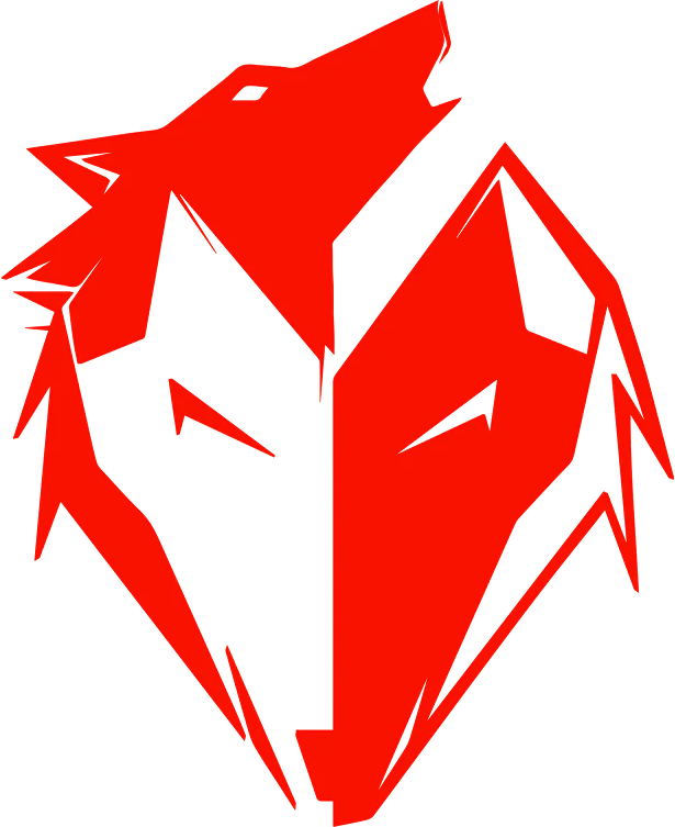 Ekkovision